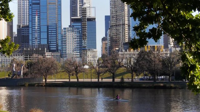a rower trains on the yarra river in melbourne, australia