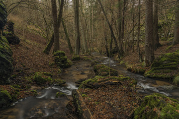 Dubinsky creek near Semnice village in Carlsbad area