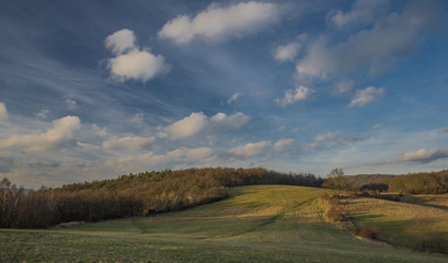 Meadow with trees near Erbenova observation tower