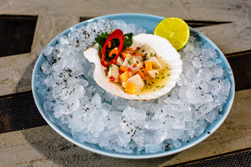 Ceviche of scallop and salmon in the sink from the scallop on ice