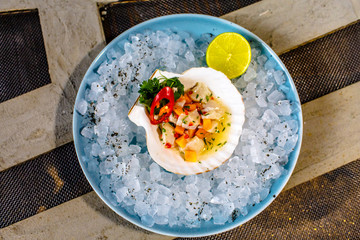 Ceviche of scallop and salmon in the sink from the scallop on ice