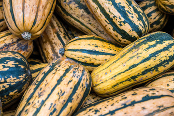 Fresh Organic Squash at a Local Farmer's Market