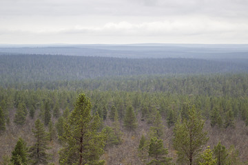 Landscape from Lapland