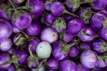 Close-up round fresh organic raw purple eggplant in farmer's market. Healthy and delicious purple eggplants background. (Selective focus)