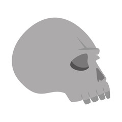 extreme skull isolated icon vector illustration design