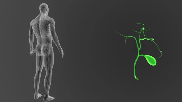 Gallbladder zoom with CS
