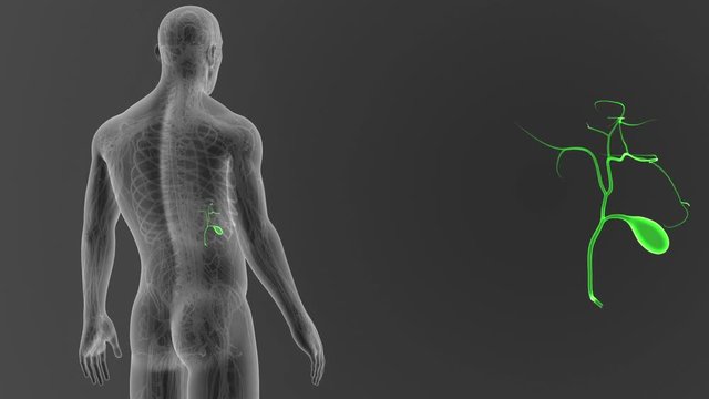 Gallbladder zoom with CS