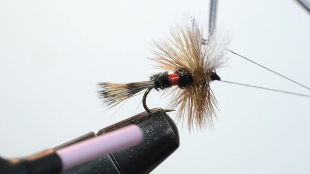 whip finishing a royal wulff dry fly
