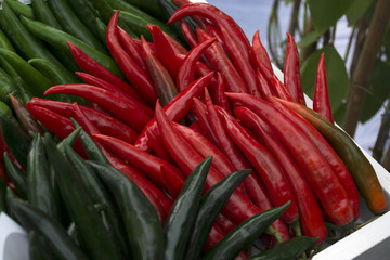 Red and green spicy chili sale in Thai food market.