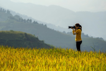 back side of photographer taking photo over the Rice fields on terraced of Mu Cang Chai District,...