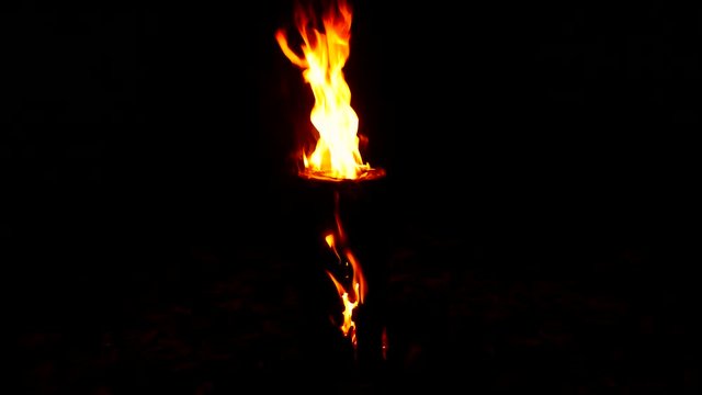 Modern fire from the log