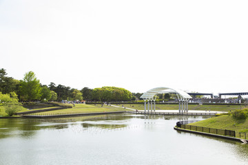 Fototapeta premium ひたち海浜公園 西池