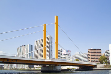 隅田川の風景（新大橋周辺）