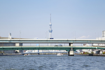 隅田川の風景（隅田川大橋周辺）