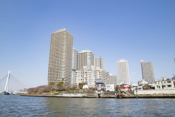 Obraz premium 隅田川の風景（中央大橋周辺）