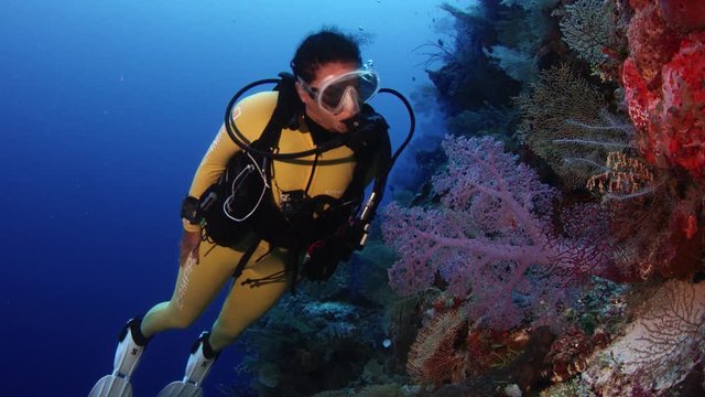 A diver (female) swims in a yellow diving suit through a tropical coral reef, Wakatobi, Indonesia, slow motion