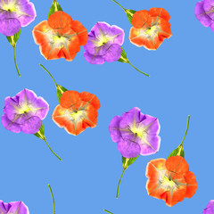 Petunia. Wzór tekstury kwiatów. Tle kwiatów, kolaż zdjęć
