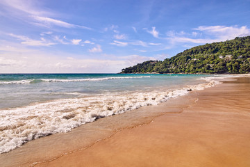 Sea waves. Blue sky. Green trees. Bright sand