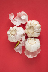 Fototapeta na wymiar Garlic on red paper background