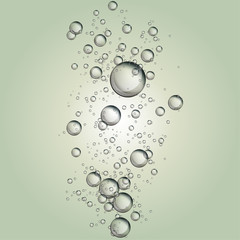 Water bubble rising on clear background. 