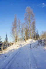 Trail in the winter park
