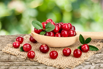 Cranberry with leaf in wooden spoon on old wooden table with blurry garden background