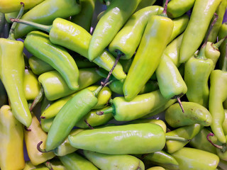 Bell pepper