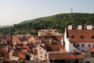Historic Roofs