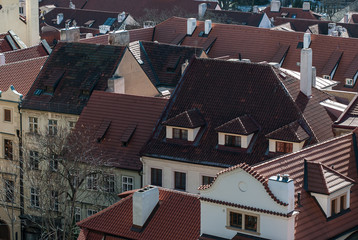 Historic Roofs