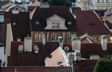 Historic Roofs