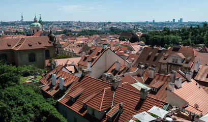 Historic Roofs