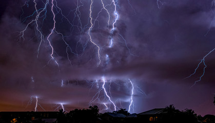 Florida Lightning