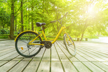 Fototapeta premium Outdoor bicycle