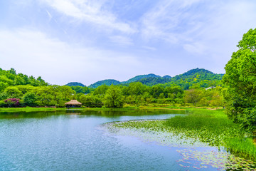 The beautiful landscape of Hangzhou, West Lake