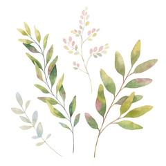 Hand drawn vector watercolor set green branches.