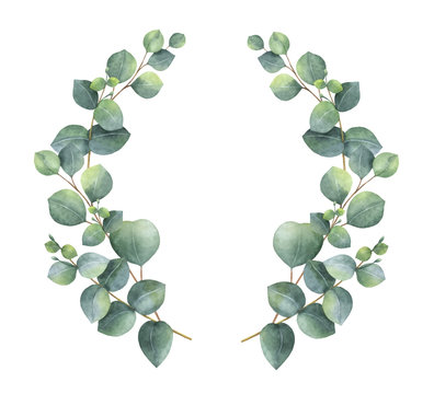 Watercolor Vector Wreath With Silver Dollar Eucalyptus Leaves And Branches.