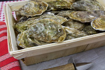 huîtres