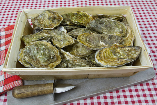 hu&icirc;tres