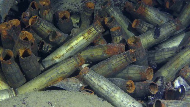 Garbage in the sea: shells from a large-caliber machine gun on the seabed at the scene of hostilities.
