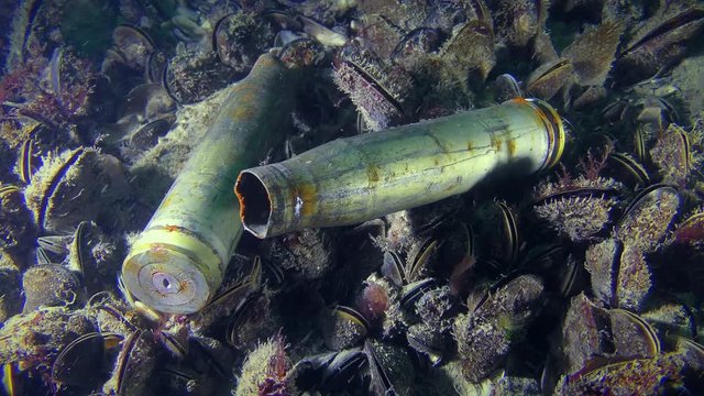 Rubbish in the sea: two sleeves from large-caliber machine gun on the seabed at the site of hostilities.
