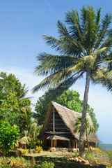 The Ngariy Men's Meetinghouse known as a faluw  on Yap island, Micronesia   © robnaw