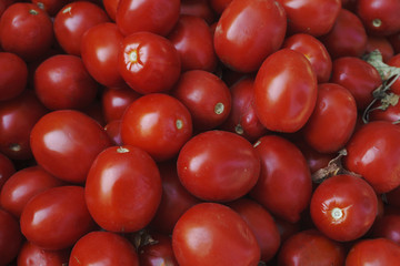 red tomatoes background. Group of tomatoes