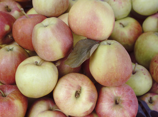 Group of red apples with their leaves