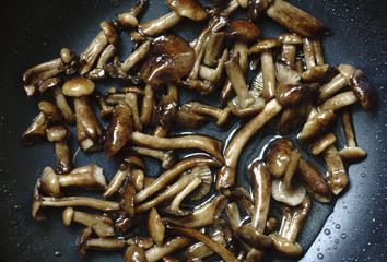Fried mushrooms mushrooms insulat