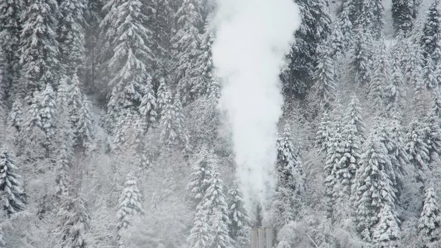 chimney smoke winter snow woodland forest firs trees