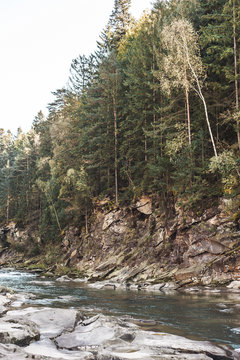 Landscape of a mountain river. Ukraine