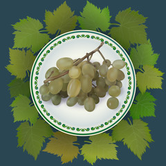 Bunch of grapes on white plate. Vector illustration