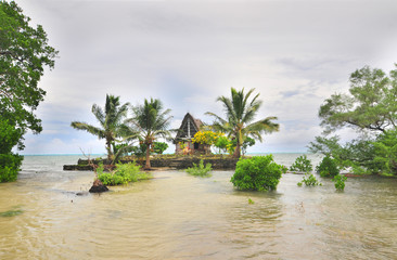 The Men's Meeting house known as a faluw  on Yap island, Micronesia © robnaw