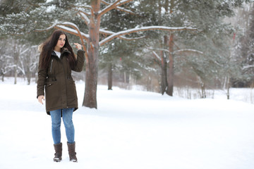 Beautiful girl in a beautiful winter park