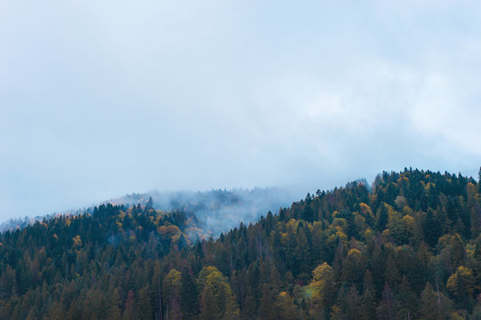 Carpatian mountains. Карпаты